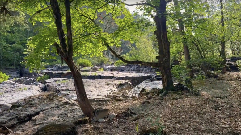 Coy Bald Trail in Hercules Glades Wilderness Area of Mark Twain National Forest