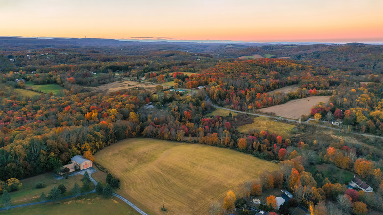 Trees turn autumnal shades as the sun sets over farmland in rural New Jersey