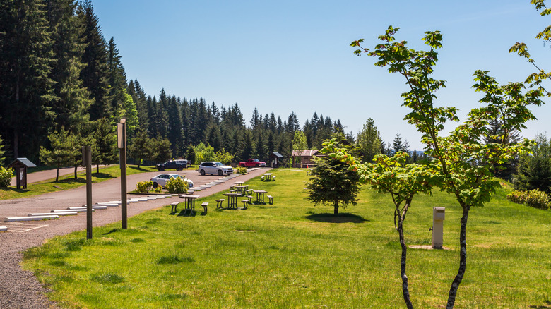 A parking area with picnic tables on grass and towering trees at L.L. Stub Stewart State Park, Oregon