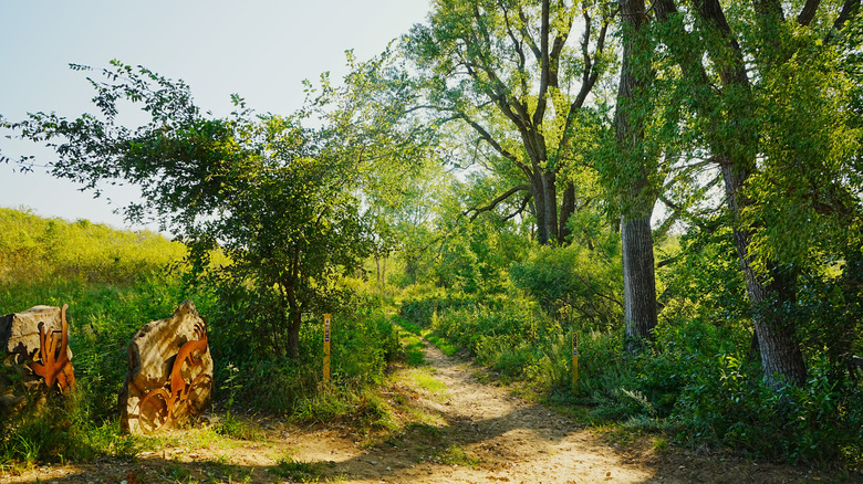 A trail at Kanopolis State Park, Kansas