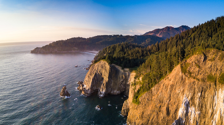The Pacific coastline along Oswald West State Park, Oregon, USA