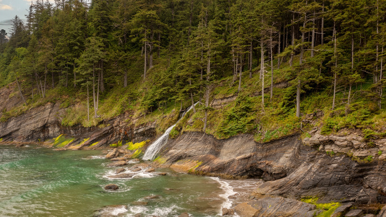 A seaside waterfall flowing from the temperate rainforest in Oregon Oswald West State Park
