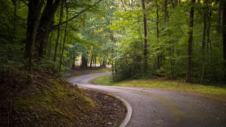 The winding road or paved path that encircles Grundy Lakes Park in Tracy City, Tennessee of the South Cumberland State Park system