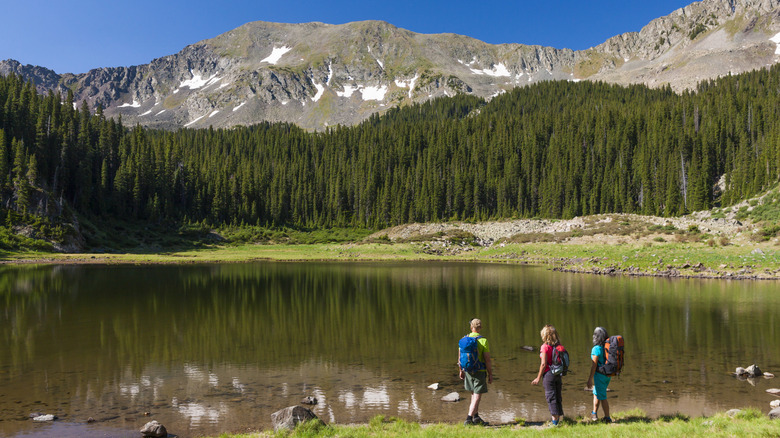 Hikers gaze at Williams Lake on summer day
