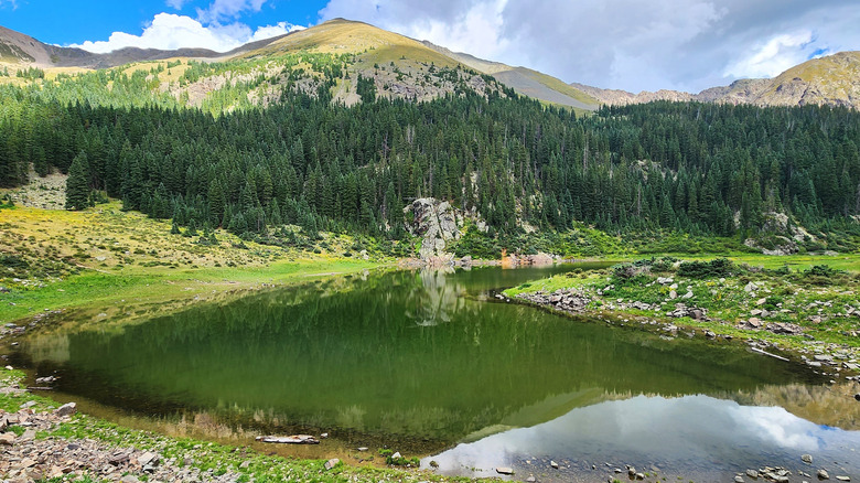 View of Williams Lake and Wheeler Peak in summer