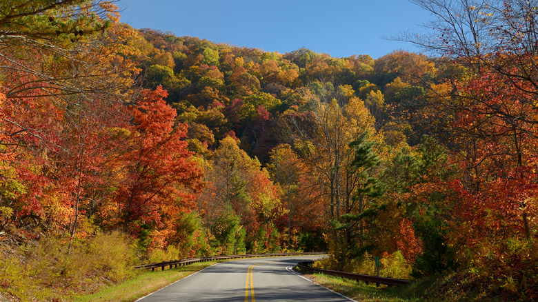 Cherohala Skyway passing thick fall foliage