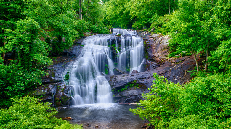 Bald River Falls waterfall green leaves