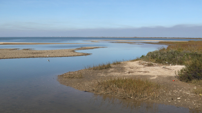 A quiet scene on Matagorda Bay, Texas