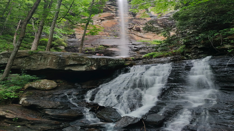 A waterfall surrounded by green forest