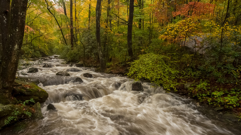A peaceful river with fall colors