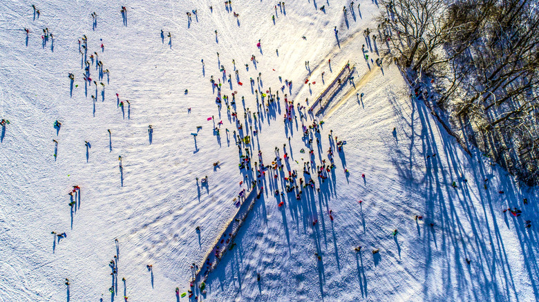 An aerial view of sledders in Chicago