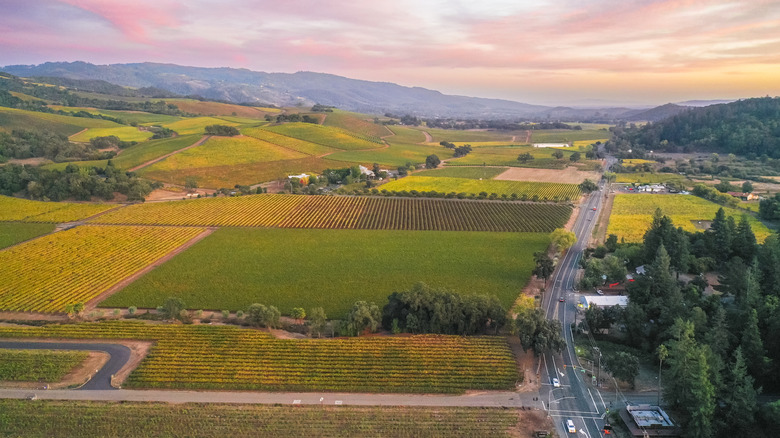 Aerial view over Sonoma County Wine Country in California