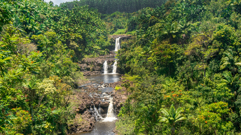 Umauma Falls