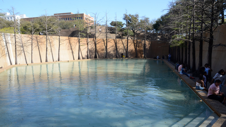 Aerating Pool at Fort Worth Water Gardens, Texas