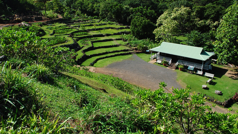 View of Limahuli Garden and Preserve