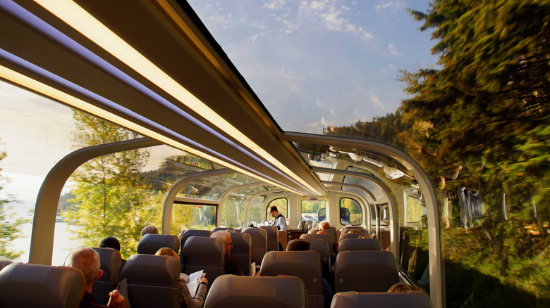 Panoramic windows of the GoldLeaf and SilverLeaf Plus Carriages with beautiful forest views