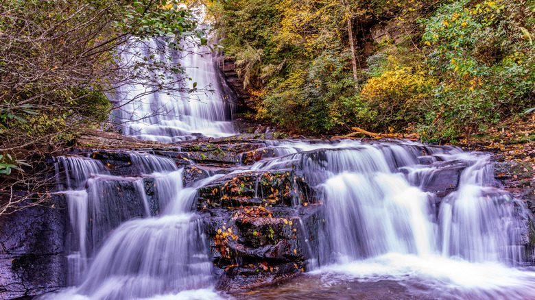connestee falls, NC