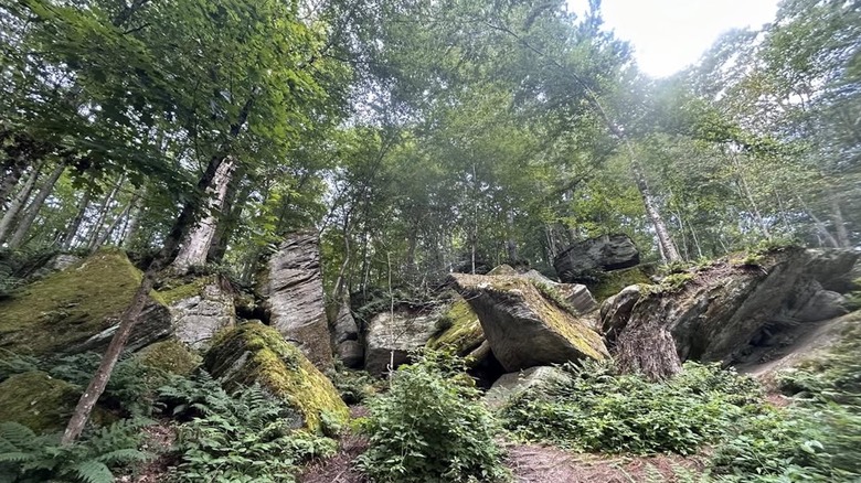 Rock formations at Panama Rocks Scenic Park