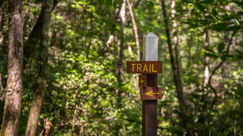 Signpost for trails in the forest