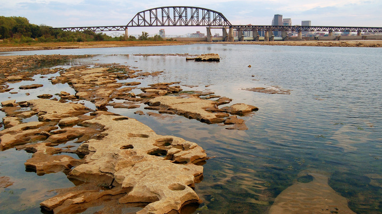 Ancient corals along the banks of the Ohio River with fossils dating back to the Devonian era in Falls of the Ohio State Park, Clarksville, Indiana