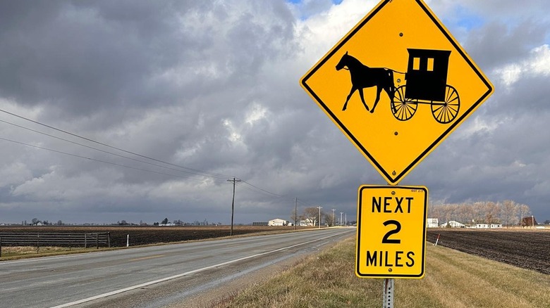 Road sign for horse-drawn buggies on Vine Street, Arthur
