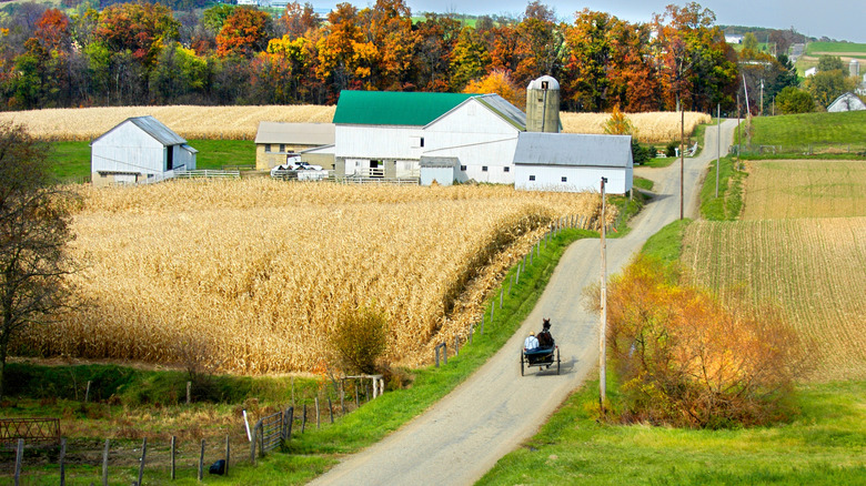 Amish town in the U.S. countryside