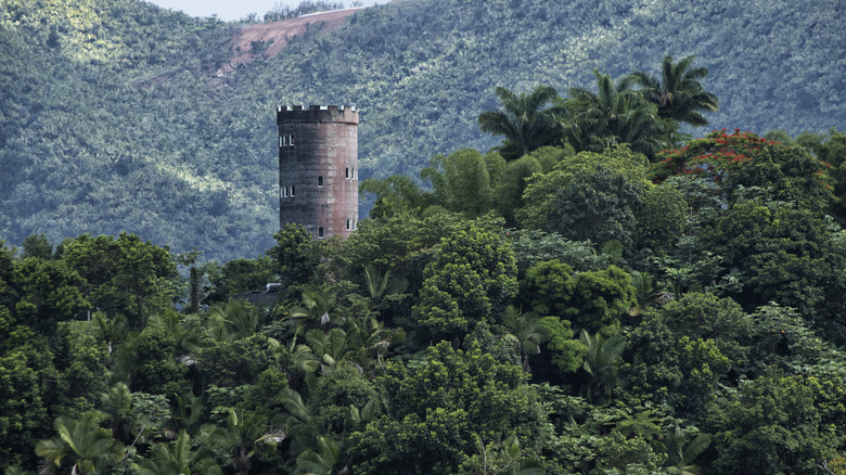 Mount Britton Observation Tower