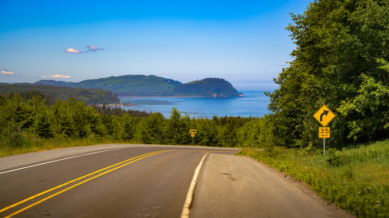 Road going toward Cape Flattery, WA