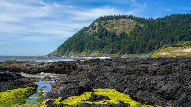 Tide pools at Cape Perpetua in Oregon, USA