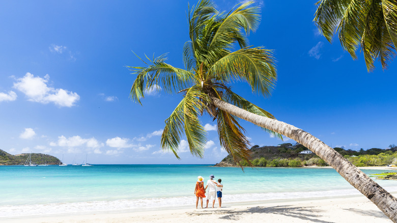 Parents and child hugging on palm-fringed beach