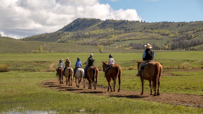 Line of horseback riders along wood trail with trees in background.