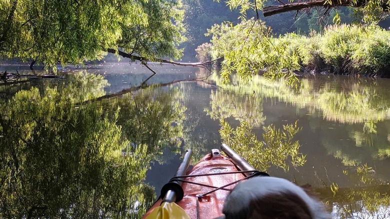 A kayak drifting through a narrow cove with shaded trees hanging over the water at Lake Adger in North Carolina