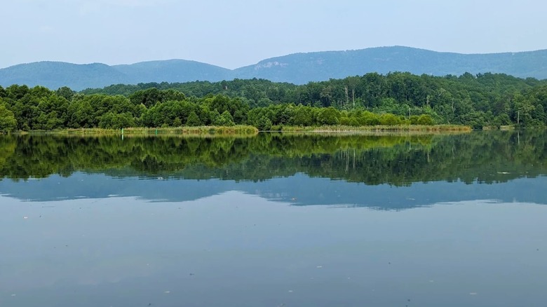 Lake Adger near Asheville, North Carolina, with reflections of a lush shoreline on the water, framed by mountains