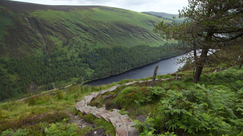 A Hiking trail in Wicklow Mountain National Park near Laragh Village, Ireland