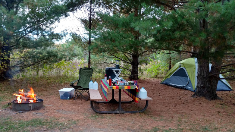 Campsite with a fire, tent, and picnic table in Cleary Lake Regional Park.