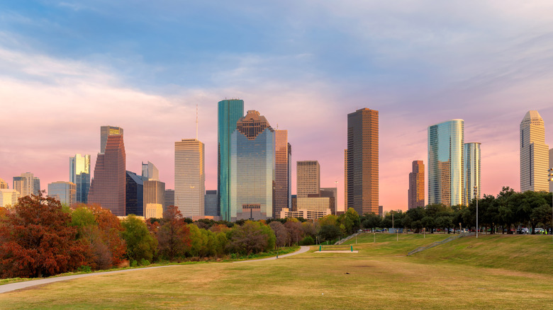 Shot of Houston's skyline