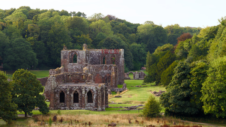 Red sandstone ruins of Furness Abbey surrounded by woodlands
