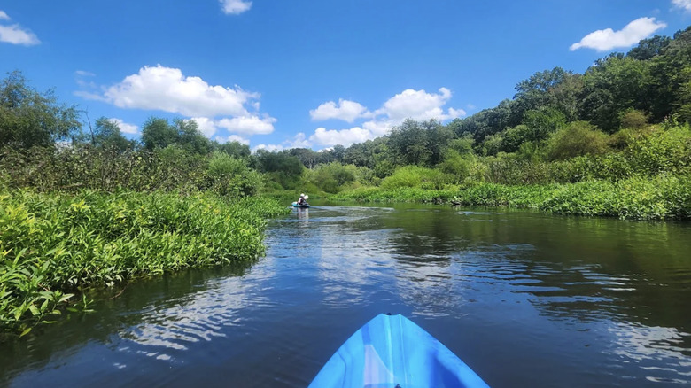kayakers cruising across wetlands in Tuckahoe State Park, Maryland