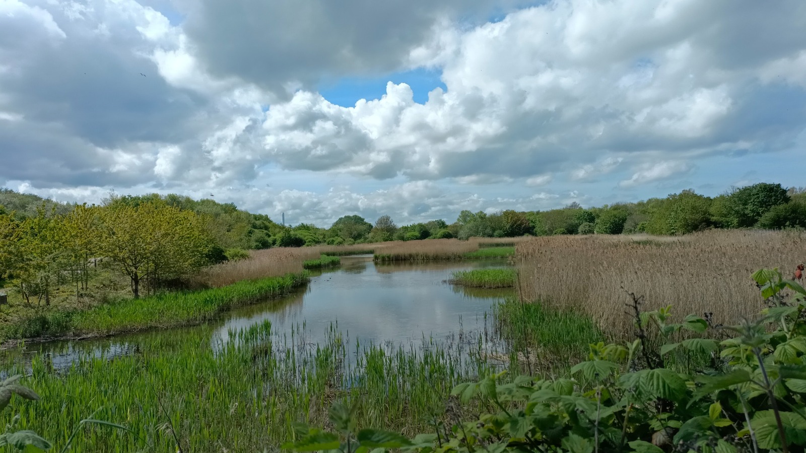 Across The River From Liverpool Is A Former Landfill That Transformed Into A Scenic Wetland Park