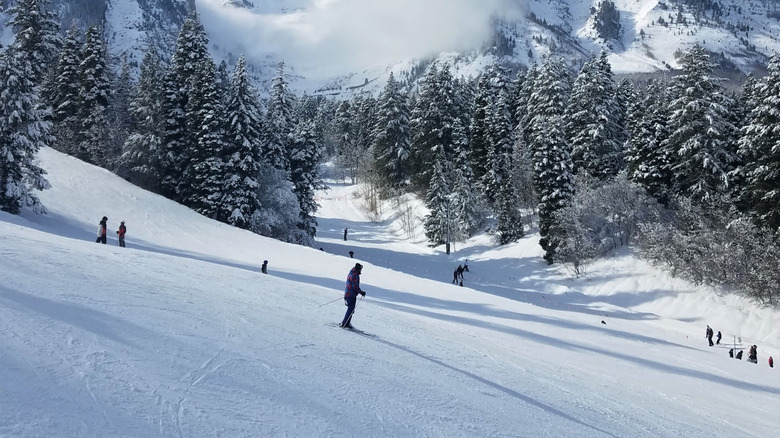 Views of Mt. Timpanogos at Sundance Mountain Resort in Utah