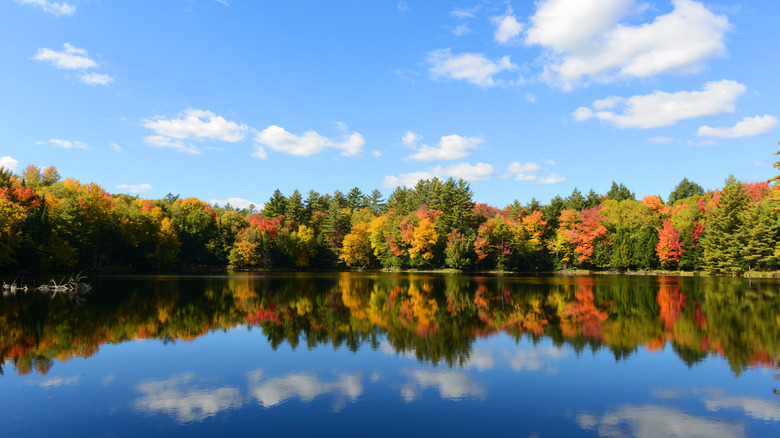 Fall foliage in Paul Smiths, New York