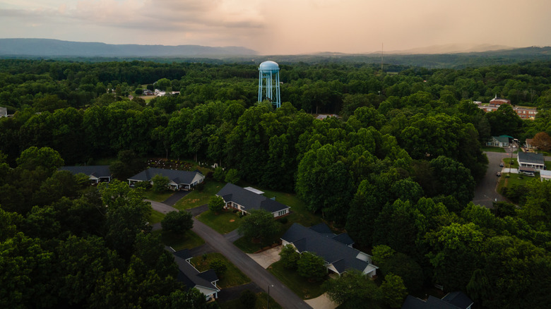 Aerial view of homes and forest in Mount Airy, North Carolina