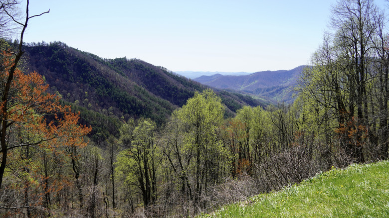 Blue Ridge Parkway near Marion, North Carolina