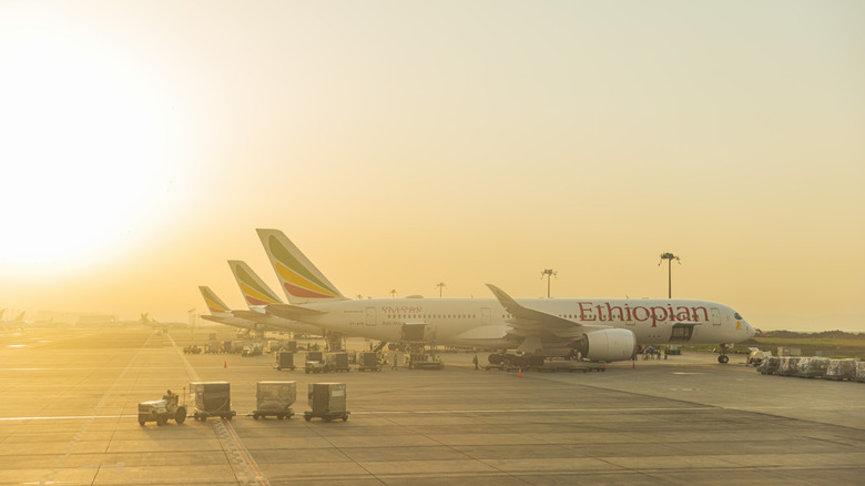 Ethiopian Airlines planes parked on the runway at dawn in Addis Ababa
