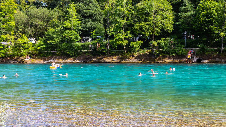 swimmers in Swiss river flowing through forest
