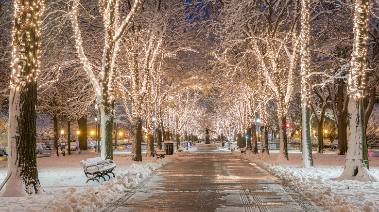 A snowy path in Boston illuminated by holiday lights