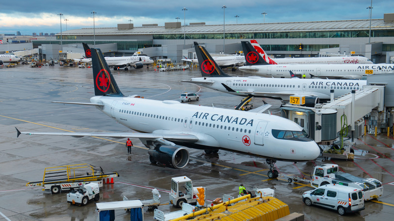 Several Air Canada planes on the airport tarmac