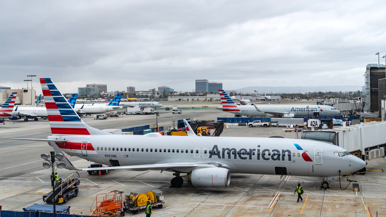 American Airlines plane docked at Miami