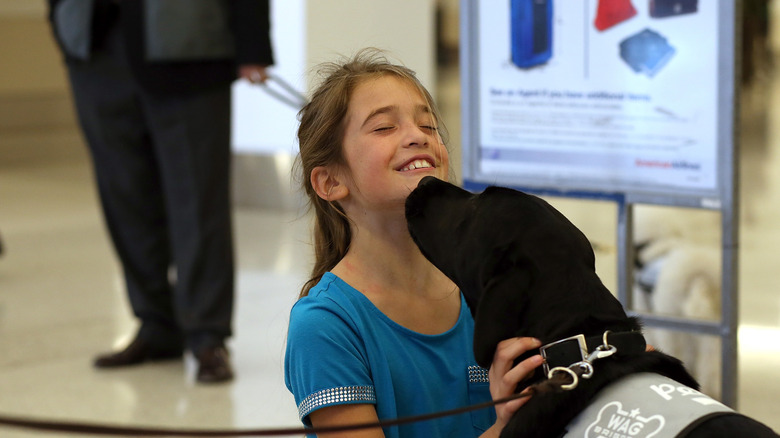 Girl greeting dog at airport