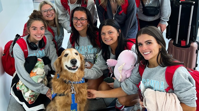 CTX therapy dog with travelers